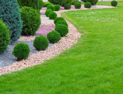 Mid-South Cities Benefit from Professional Commercial Landscaping Services