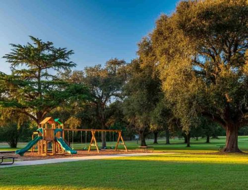 Cities and Towns Large or Small Benefit from Experienced and Trusted Commercial Landscaping Services