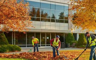 Fall Commercial Landscaping